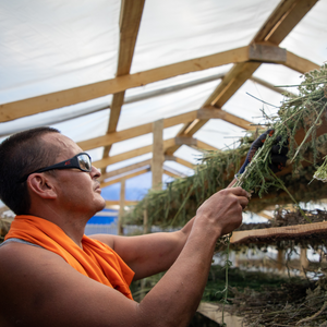In Memory, Clarence Bird (Boreal Boy)