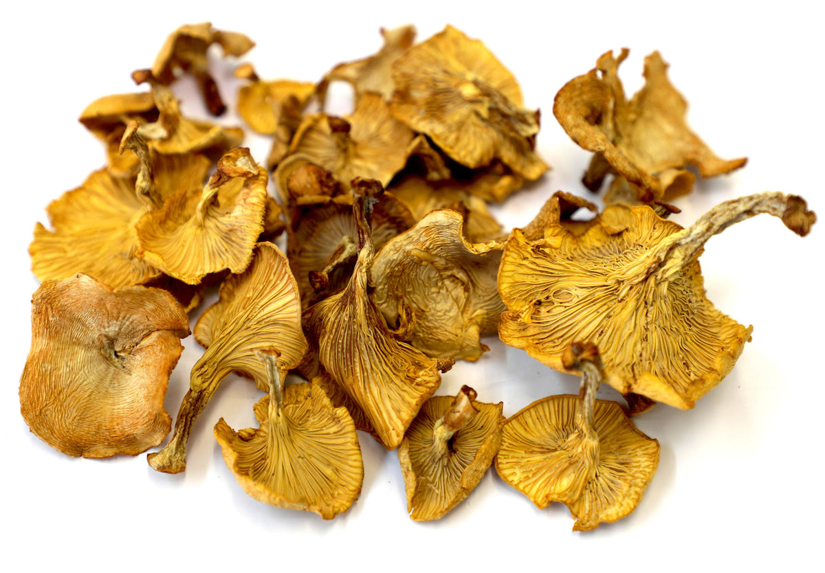 Dried Chanterelle Mushrooms – Boreal Heartland