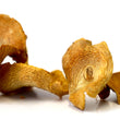 Load image into Gallery viewer, Dried Chanterelle Mushrooms