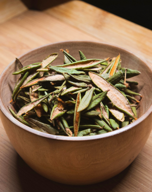 Labrador Tea leaves