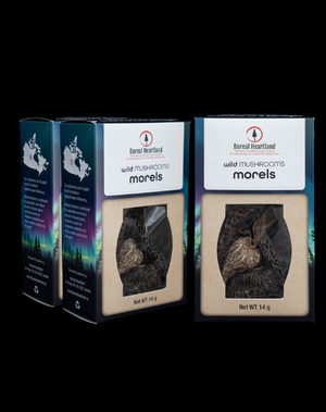 Dried Morel Mushrooms - 3 Pack