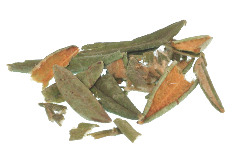 Labrador Tea Loose Leaf – Boreal Heartland