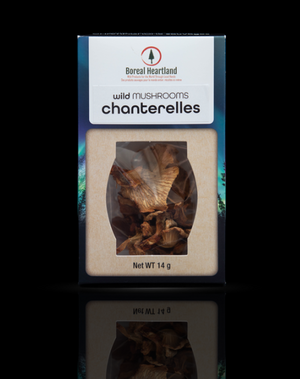 Dried Chanterelle Mushrooms